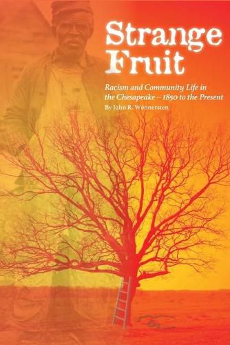 Cover image for Strange Fruit: Racism and Community Life in the Chesapeake-1850 to the Present