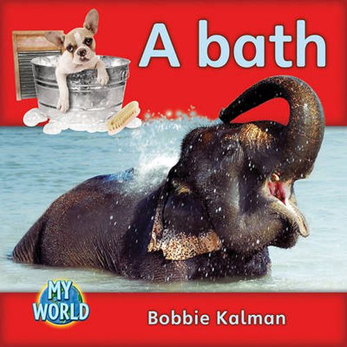 Cover image for A bath