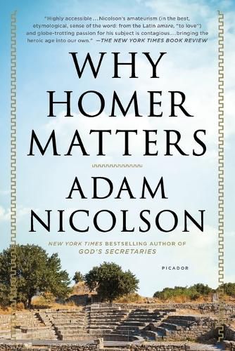 Cover image for Why Homer Matters