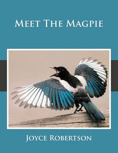 Cover image for Meet the Magpie