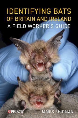 Cover image for Identifying Bats of Britain and Ireland