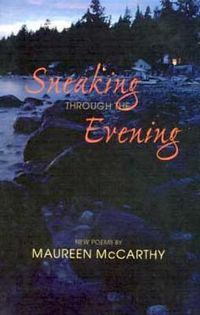 Cover image for Sneaking Through the Evening
