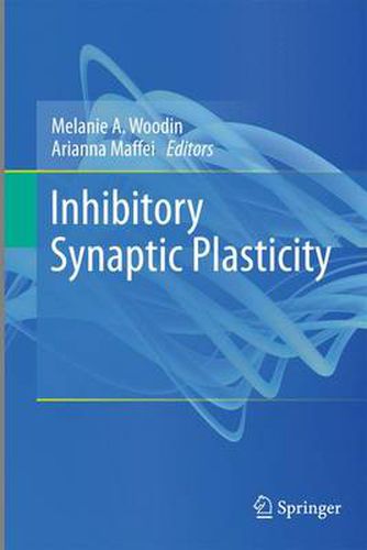 Inhibitory Synaptic Plasticity