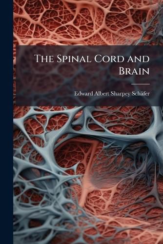 Cover image for The Spinal Cord and Brain