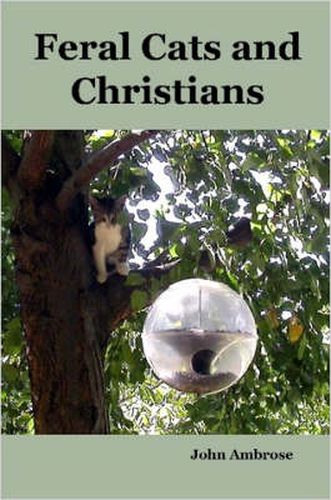 Cover image for Feral Cats and Christians