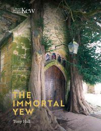 Cover image for Immortal Yew, The