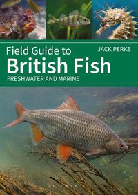 Cover image for Field Guide to British Fish