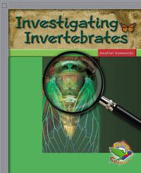 Cover image for Investigating Invertebrates