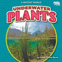 Cover image for Underwater Plants
