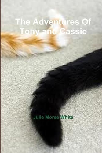 Cover image for The Adventures Of Tony and Cassie