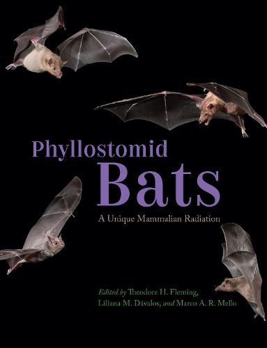 Cover image for Phyllostomid Bats: A Unique Mammalian Radiation