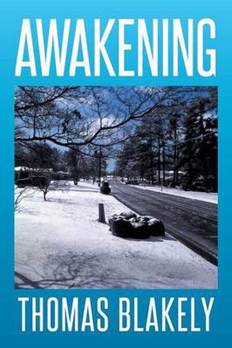 Cover image for Awakening