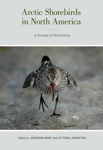 Cover image for Arctic Shorebirds in North America: A Decade of Monitoring