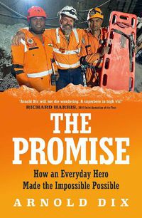 Cover image for The Promise