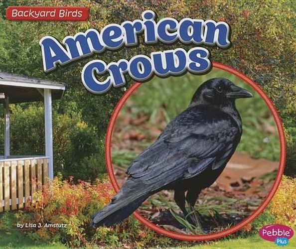 Cover image for American Crows