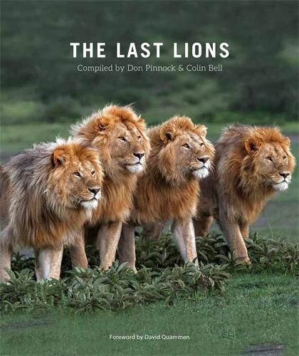 Cover image for The Last Lions