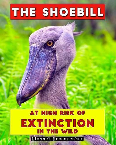 Cover image for The Shoebill