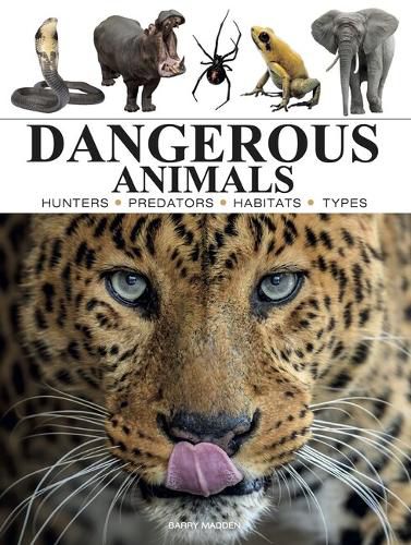 Cover image for Dangerous Animals