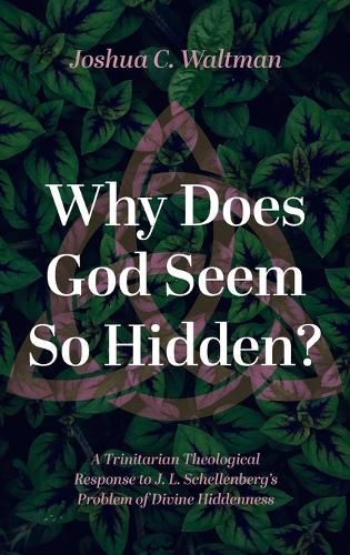 Cover image for Why Does God Seem So Hidden?