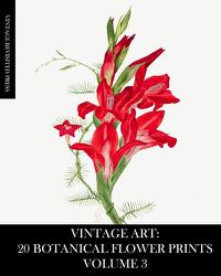 Cover image for Vintage Art: 20 Botanical Flower Prints Volume 3: Ephemera for Framing, Junk Journals, Mixed Media and Decoupage