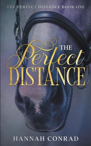 Cover image for The Perfect Distance