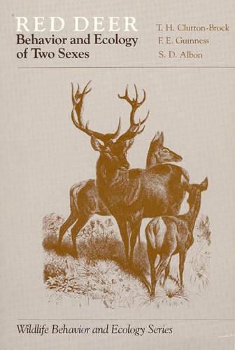 Cover image for Red Deer (Paper Only)