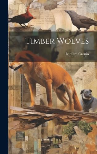 Cover image for Timber Wolves
