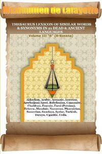 Cover image for V3.Thesaurus Lexicon of Similar Words & Synonyms in 21 Dead & Ancient Languages