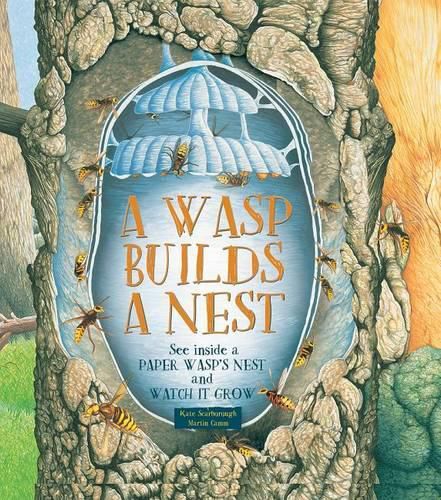 Cover image for A Wasp Builds a Nest: See Inside a Paper Wasp's Nest and Watch It Grow