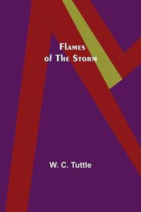 Cover image for Flames of the Storm