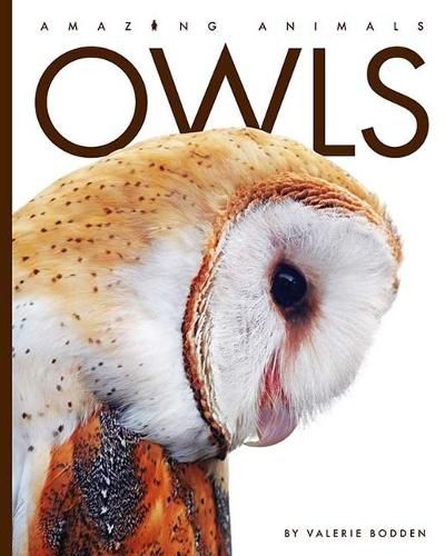 Cover image for Owls