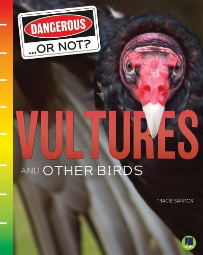 Cover image for Vultures and Other Birds