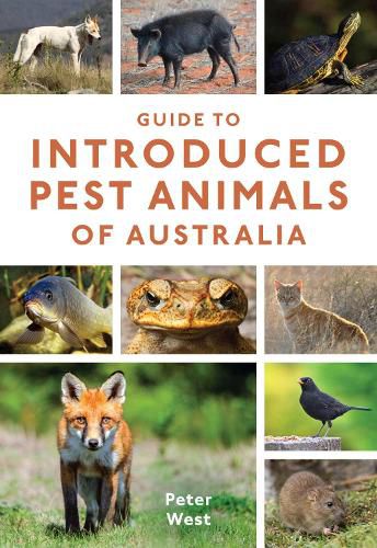 Cover image for Guide to Introduced Pest Animals of Australia