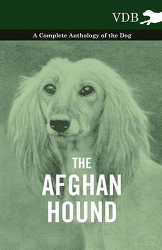 Cover image for The Afghan Hound - A Complete Anthology of the Dog -