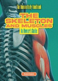 Cover image for The Skeleton and Muscles