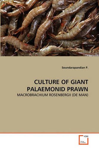 Cover image for Culture of Giant Palaemonid Prawn