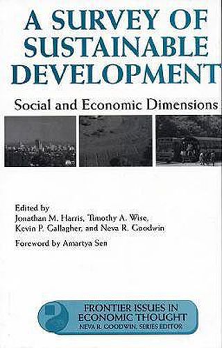 Cover image for A Survey of Sustainable Development: Social And Economic Dimensions