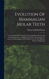 Cover image for Evolution Of Mammalian Molar Teeth