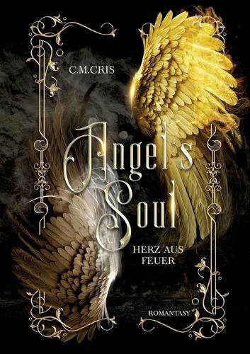 Cover image for Angel's Soul