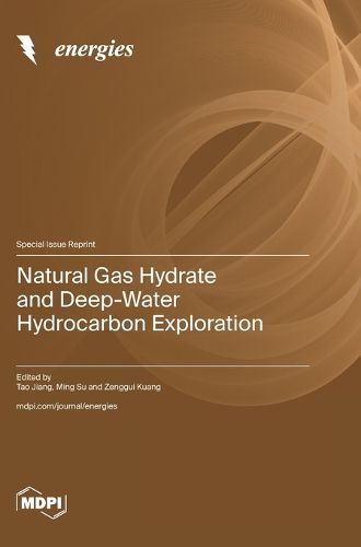 Cover image for Natural Gas Hydrate and Deep-Water Hydrocarbon Exploration
