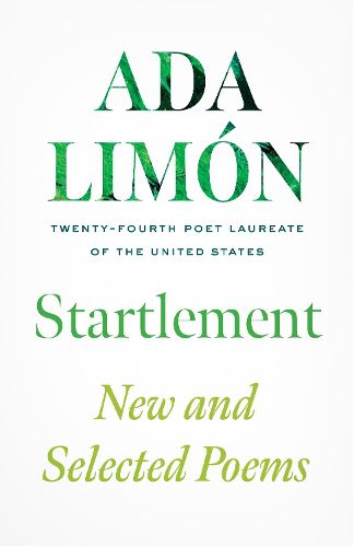 Cover image for Startlement