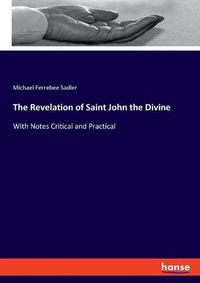 Cover image for The Revelation of Saint John the Divine: With Notes Critical and Practical