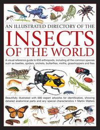 Cover image for Illustrated Directory of Insects of the World: A Visual Reference Guide to 650 Arthropods, Including All the Common Species Such as Beetles, Spiders, Crickets, Butterflies, Moths, Grasshoppers and Flies