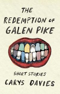 Cover image for The Redemption of Galen Pike