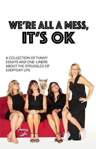 Cover image for We're All a Mess, It's Ok: A Collection of Funny Essays and One-Liners about the Struggles of Everyday Life