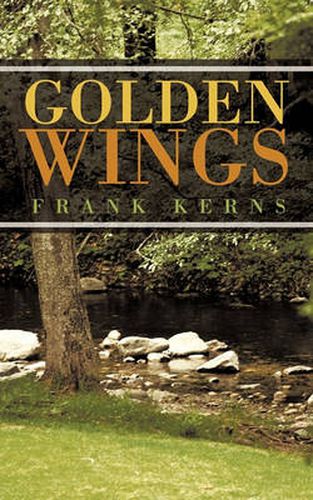 Cover image for Golden Wings