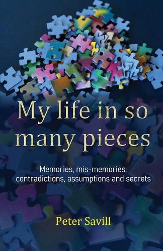 Cover image for My life in so many pieces