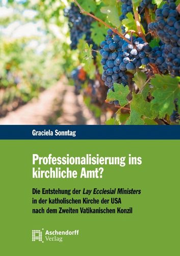 Cover image for Professionalisierung Ins Kirchliche Amt?: Die Entstehung Der Lay Ecclesial Ministers in Der Katholischen Kirche Der USA Nach Dem Zweiten Vatikanischen Konzil