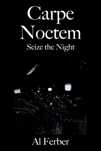 Cover image for Carpe Noctem