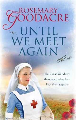 Cover image for Until We Meet Again